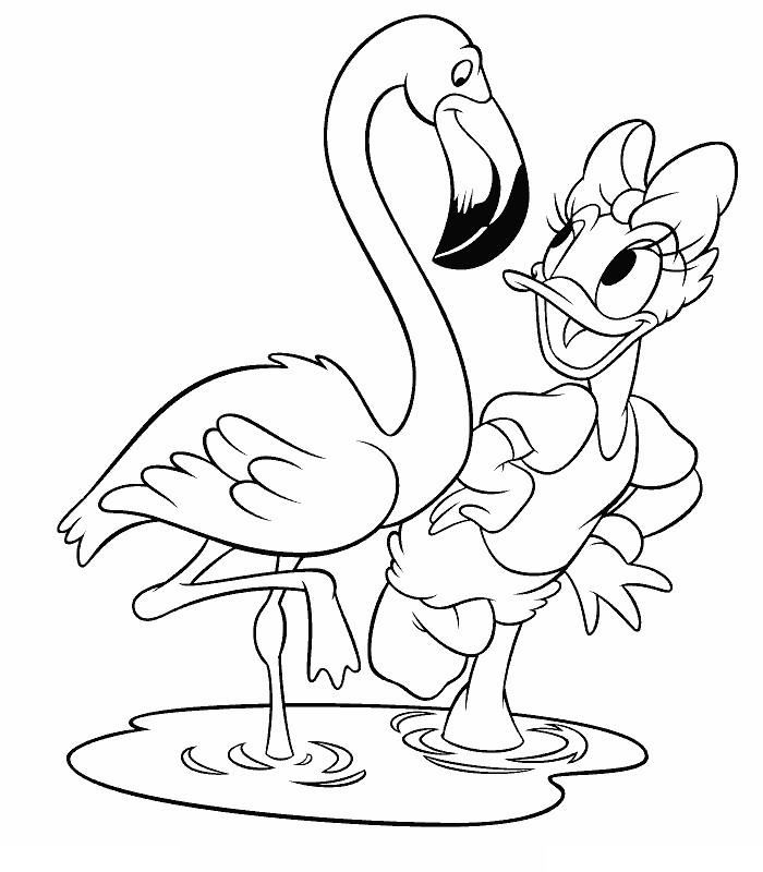coloriage daisy et flamand rose